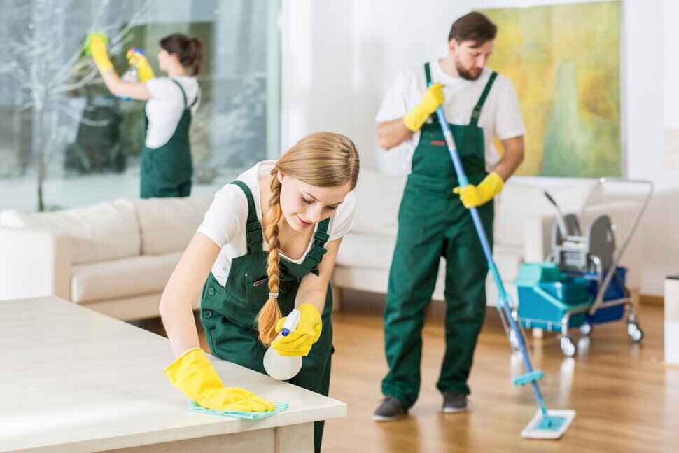 GNA group cleaning
